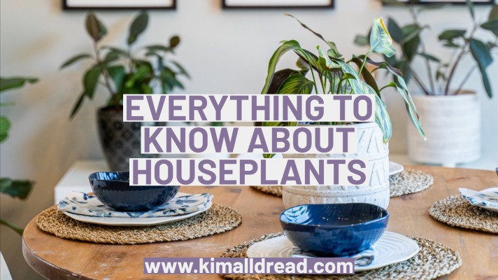 Houseplants Blog